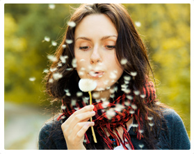 Nosotros - Sobre Lemot